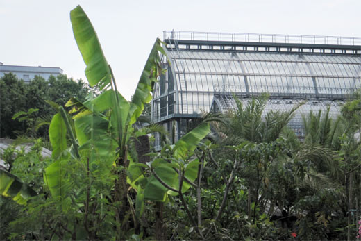 Gewaechshaus im Parc